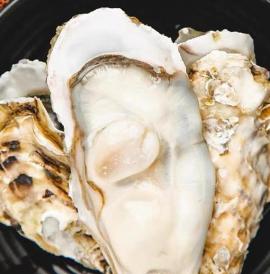 牡蛎